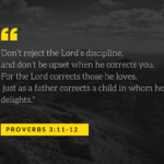 Proverbs discipline verse