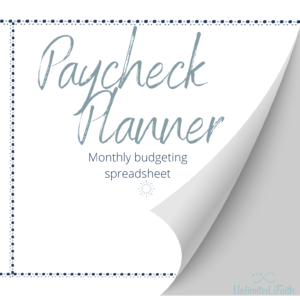 paycheck planner final